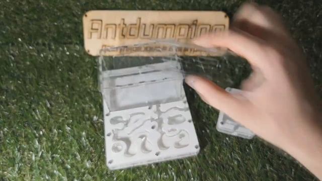 Люгер V4 (Формикарий + инкубатор за 1800р) Обзор,формикария и заселение муравьев