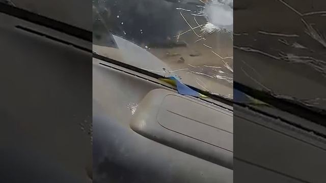 Зафиксировано первое уничтожение танка Challenger-2