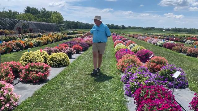 Flower Trials 2022: What's Looking Great Now