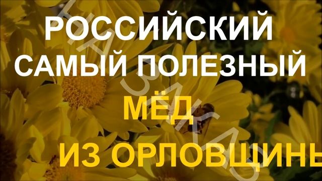 Мёд из Орловщины