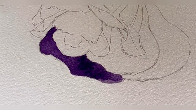 3dcd8d82f134b3f73606a8f0b03fe2a0