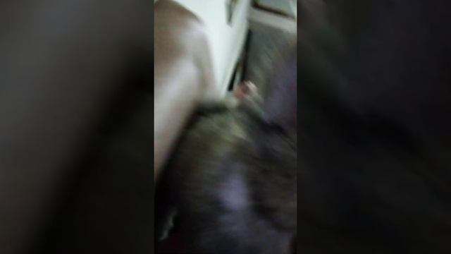 C85d081ae7a02d207f7222006d921eec