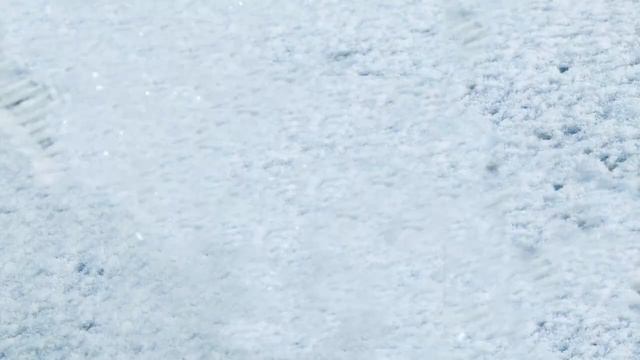 Кулинарный календарь