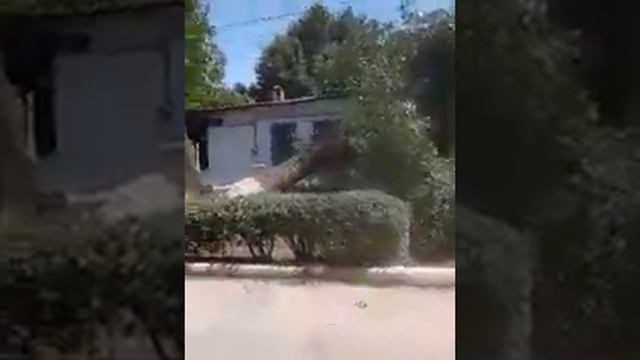 Бездействие Администрации г. Каменск-шахтинский