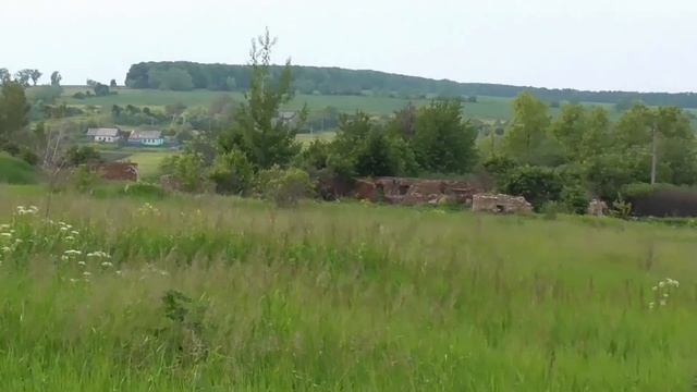 Поиск монет в полях с металлоискателем X-Terra 705