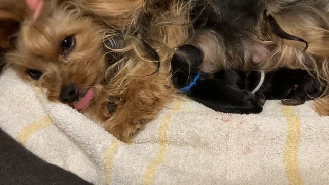 23.07.21 Мила стала мамой 2 мальчишек