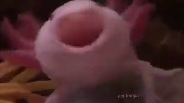 0d7956d716ea2f1d3156613b78d32c3b