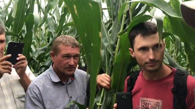 Орошаемая кукуруза на ферме Райана Спира. Канзас. США - часть 1