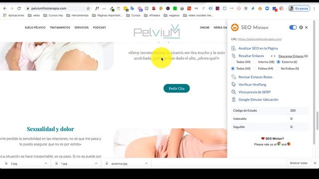 ▶ Extensión Para CHROME DE SEO [ SEO MINION ], TODO En UNO.
