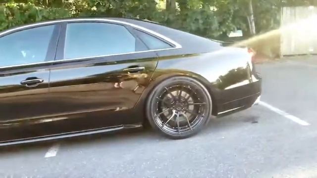 Хобби Сокровище