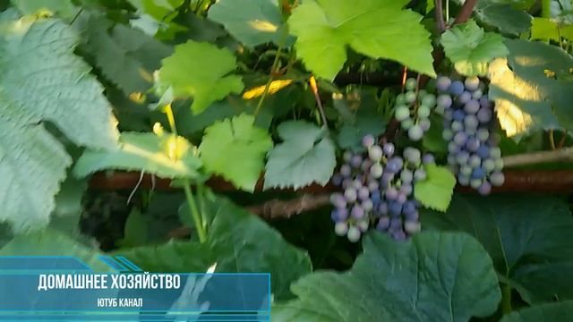 22c538023f27aed910640feb8ac39175