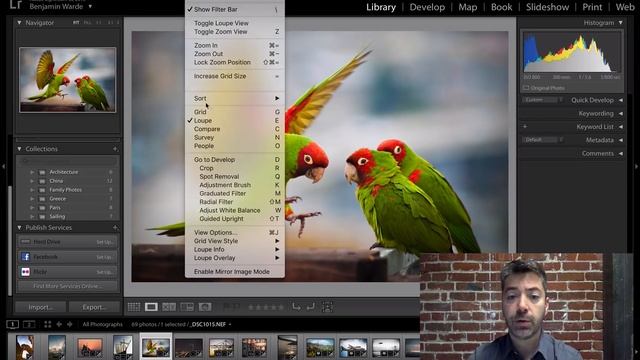 Lightroom Coffee Break: Using Loupe Overlays