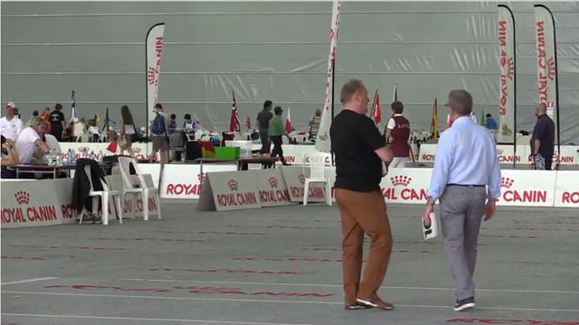 Владислава Акимова и Лютик, ЧМ2015