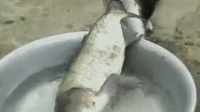 F7fb57670e22aa99e89393133993b604