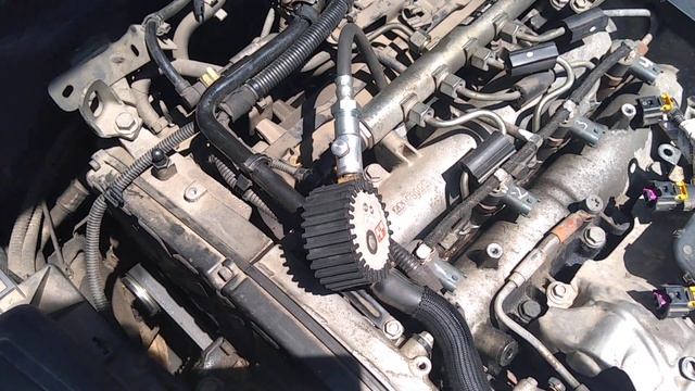 Дышите свежестью