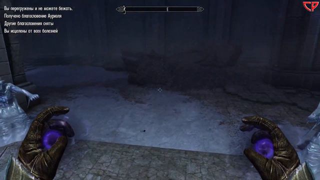 🐲The Elder Scrolls V: Skyrim Anniversary Edition [No Comment]🐲#29