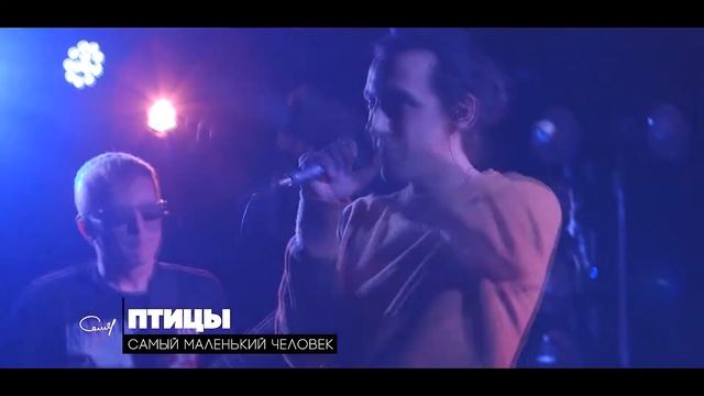 самый маленький человек- Птицы