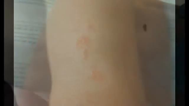 Семейные путешествия на кемпере