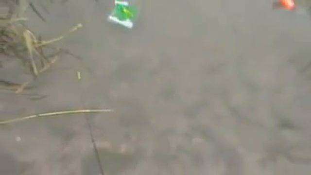 974434273e24068263841ba9bf14281a