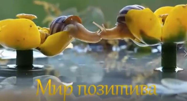 Мир позитива.