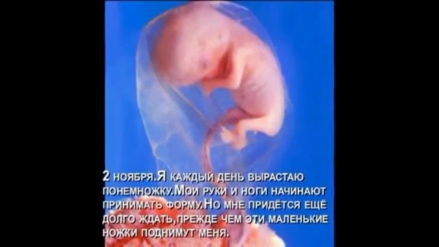 A054b7514155cf35d5efe14cb4235f8c