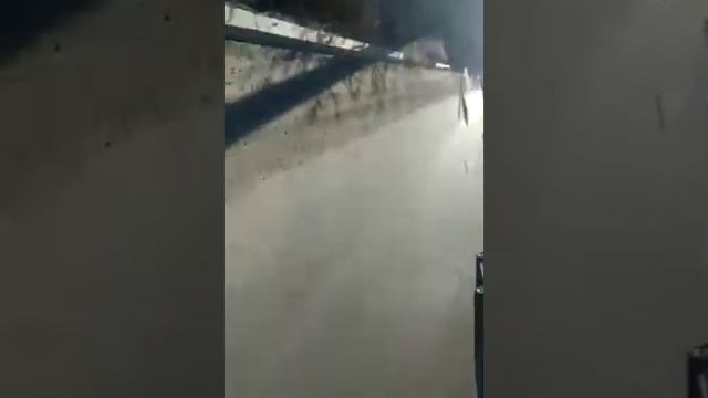 Автомобили придумали ПЕШЕХОДЫ!!!! Так почему не подумали о пешеходах???!!!