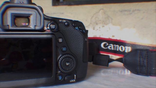 CANON EOS 80D W/ 18-200mm Lens