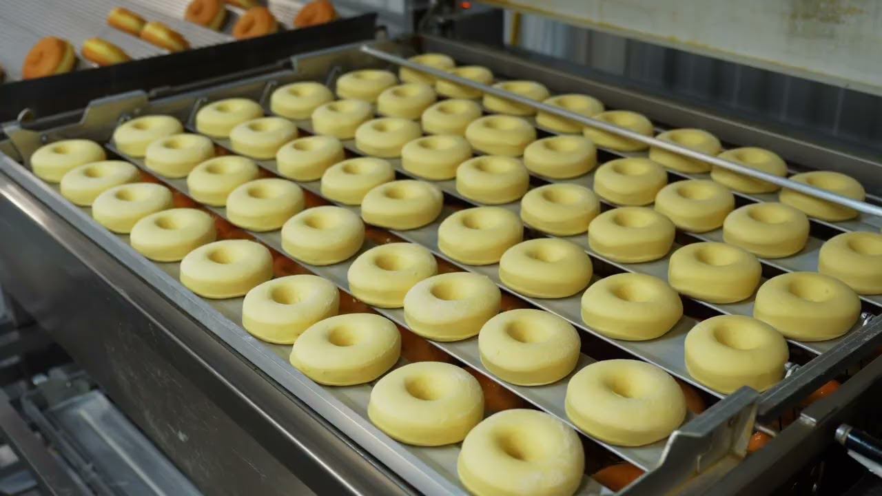 25 июня 2024 г.