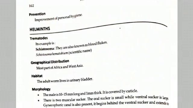 Life Cycle Of Balantidium Coli