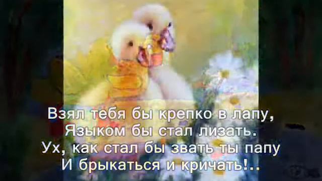 ВеДеДо. 