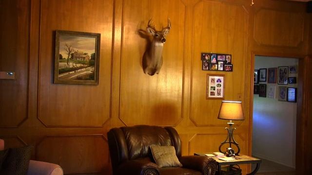 Local Television Ad Campaign For A Collision Center That Killed It #8 Buck Summertime