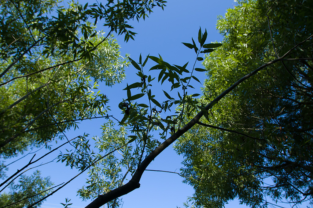 27833de17334ab3193cfc7f595057af5