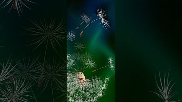Дополнительное качество. Часть 2. (Сердце пути. Как видеть в Гуру Будду.)