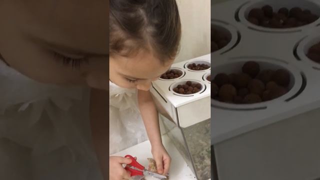 E566240d9c76056c217804274874392c