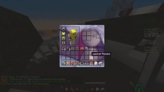 Хорошая игра! (Minecraft Survival Games #2)