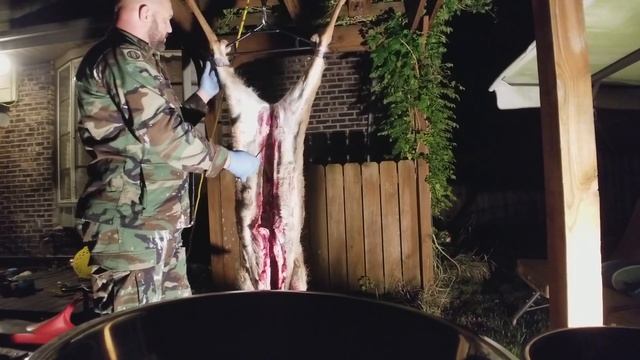 Снятие шкуры оленя в домашних условиях