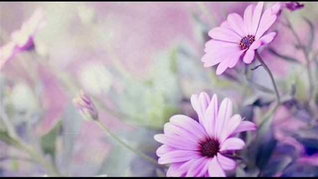 A. Vivaldi: Graz Sonata For Violin & B.c. In D Major N. 3 (RV 11) - Part I