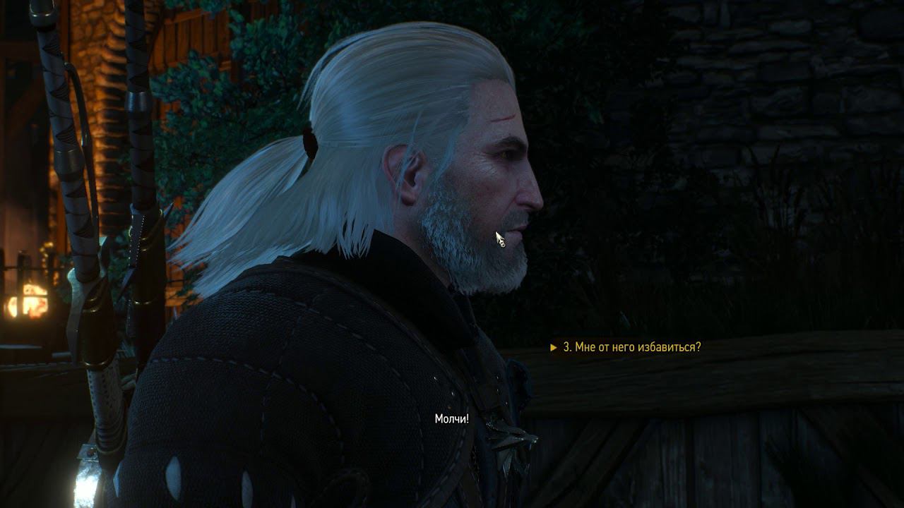 The Witcher 3 - Клиент и проститутка - Новиград №34