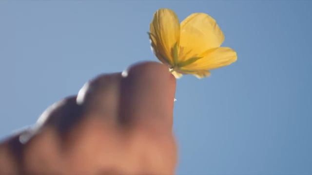 Рома Фандорин - Давай найдем друг друга...