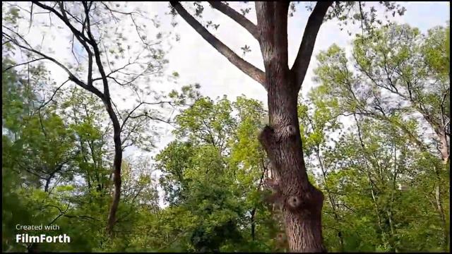 1bc3e63c492da806cdc28d6d81a30126