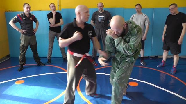 Фрагменты семинара в Рязани по САО Стрела 17 - 18 апреля.  1 день  ч. 1.  В Н Крючков