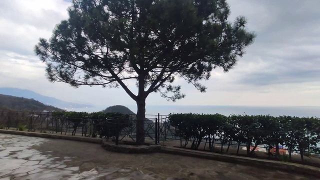 2051ab4da5a8a2c3846a88e0c02af1f9