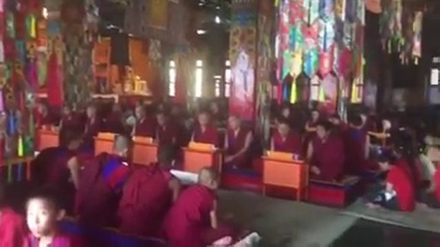 5236f43ef275048b1721de191796327e