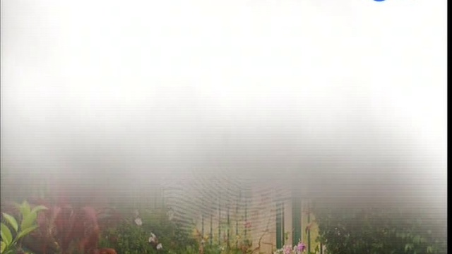 12.Кто закопал на пляже ключи от машины