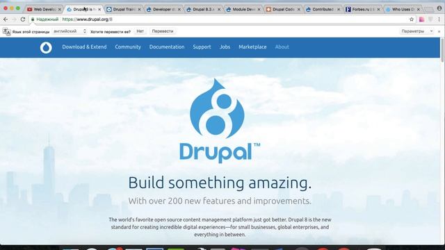 Drupal 8 -  Обзор.Что это? Как стать разработчиком?Как учить?