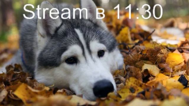 86332e90363a620b99fa6c22b890747c