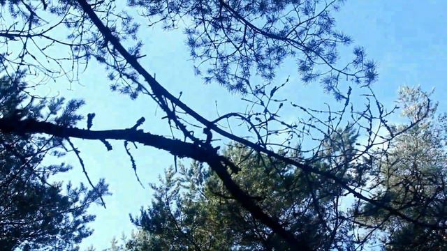 Beb99a20c84e079015948201c0f08dad