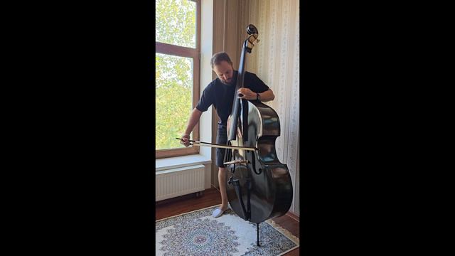 Контрабас №104