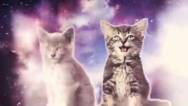 Копия видео 