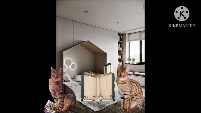 Коты в городе 1 серия 3 сезон (новое путешествие)